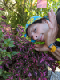 PXL_20220822_082101167