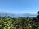 PXL_20220825_093855871