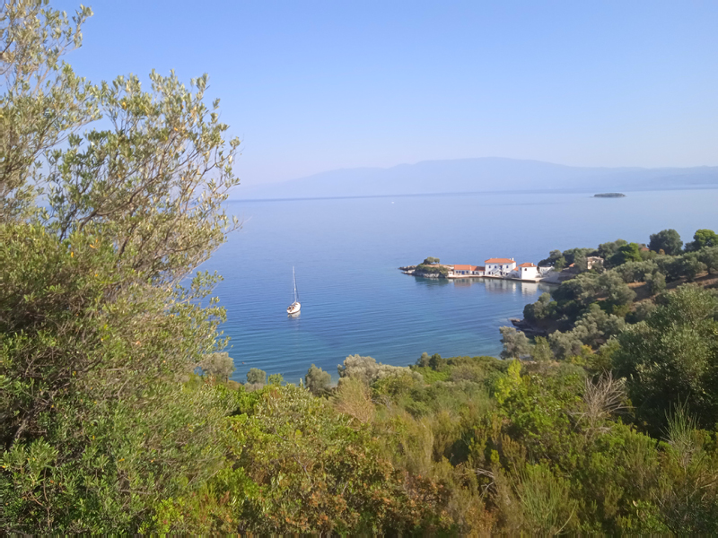IMG_20220728_094321