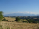DSC01430