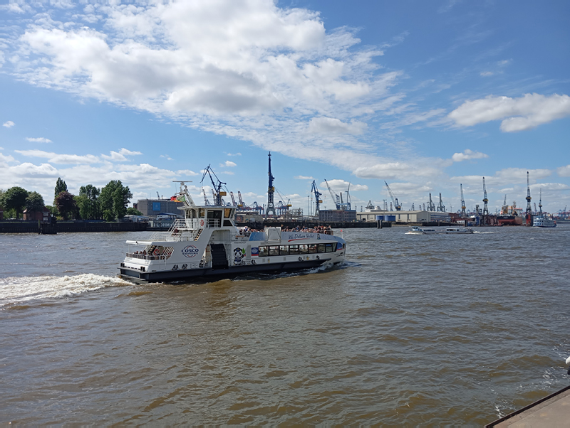 IMG_20250503_122207