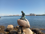 IMG_20250505_123248