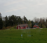 IMG_20250508_103620