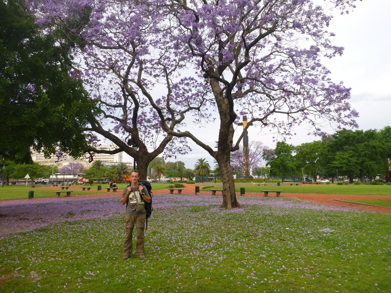 P1050934