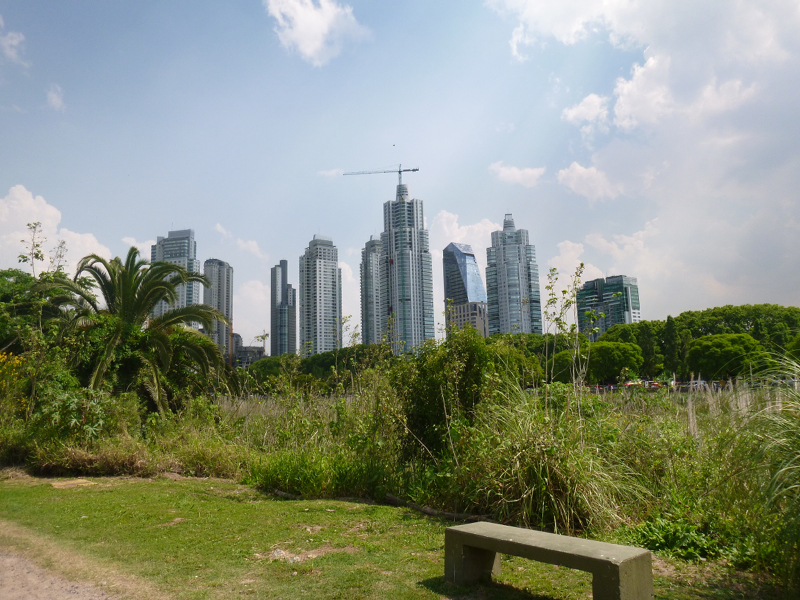 P1050975