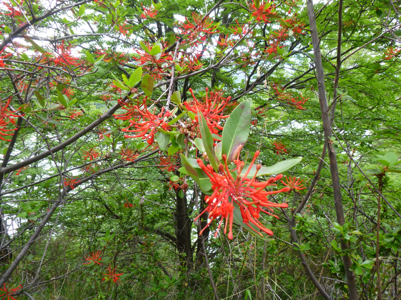 P1060225
