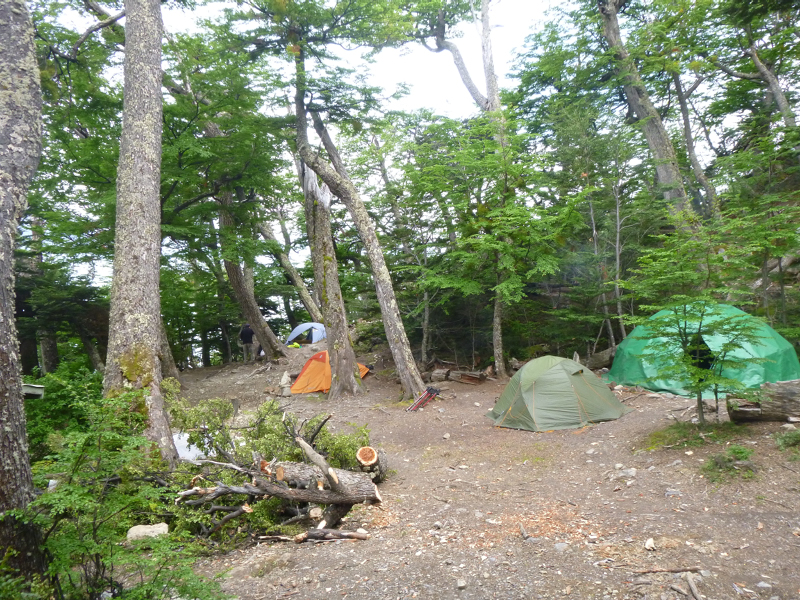 P1060254