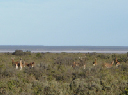 P1060146