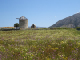 2023-04-24 12-26-18DSC01662