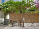 2023-04-26 12-35-28DSC01697
