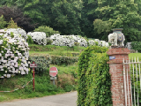 IMG_20240713_143623