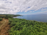 IMG_20240713_164331