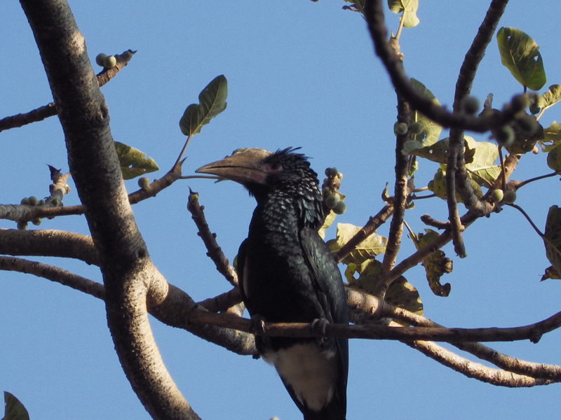 2013-11-18 07-56-20 - IMGP0407