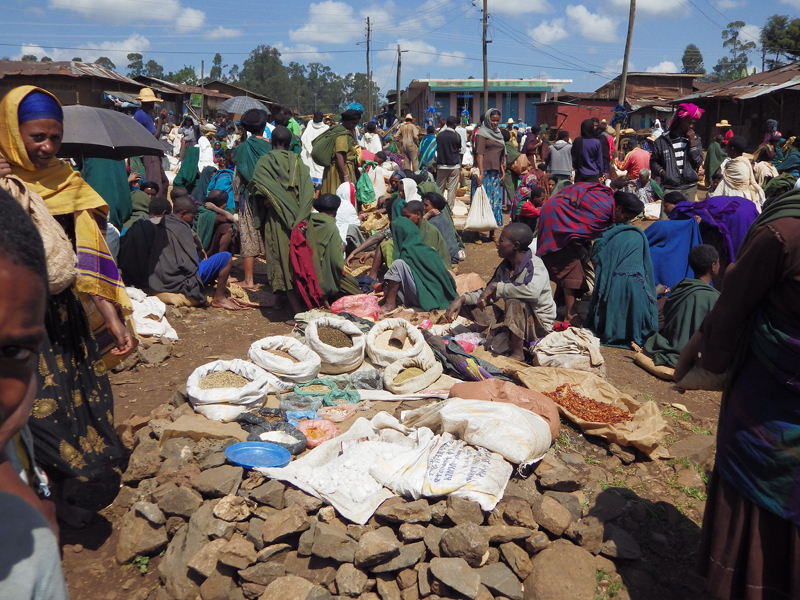 2013-11-18 11-22-48 - IMGP0443