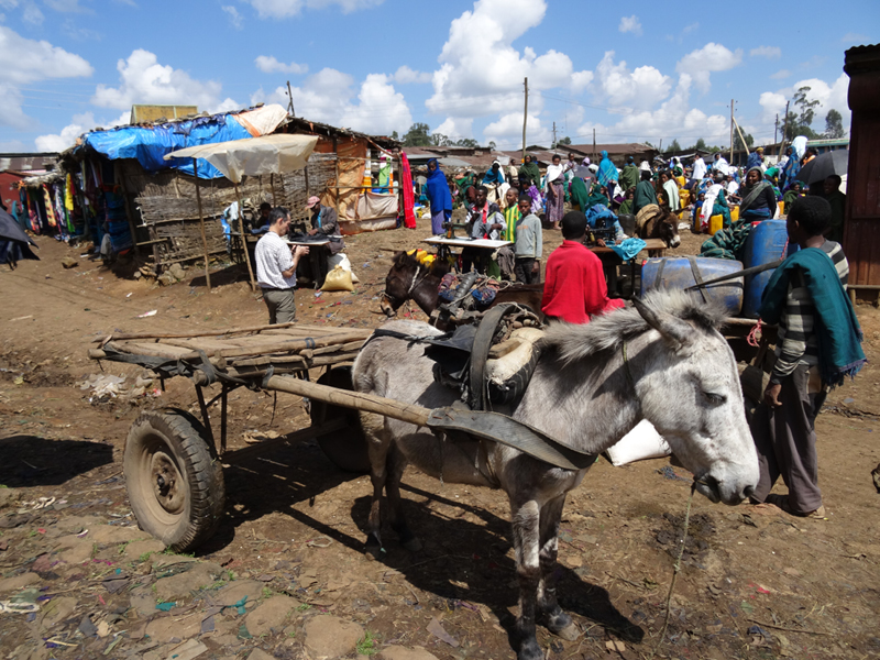 2013-11-18 11-34-27 - DSC00329