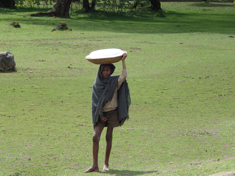 2013-11-18 11-57-07 - IMGP0454