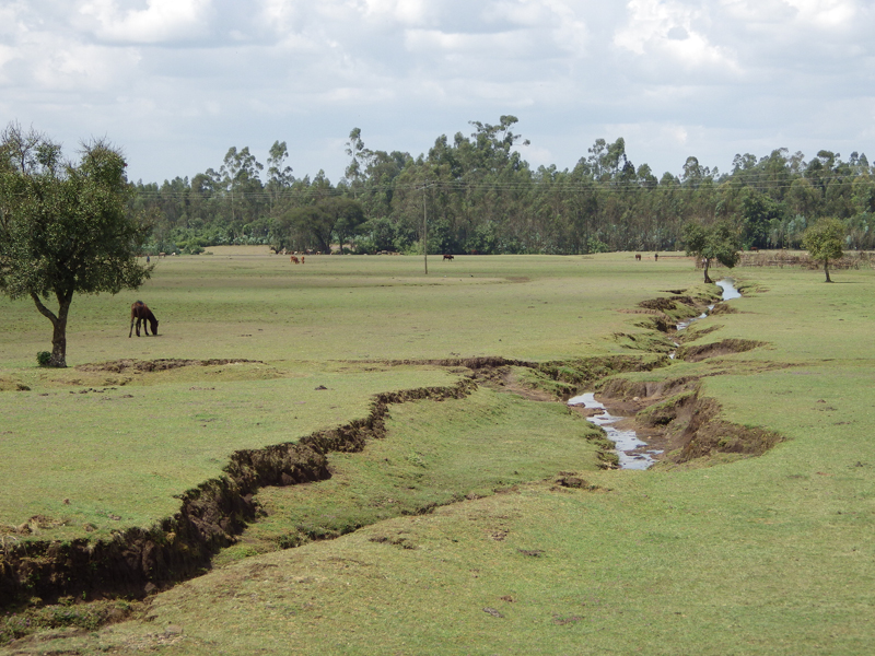 2013-11-18 11-57-55 - IMGP0456