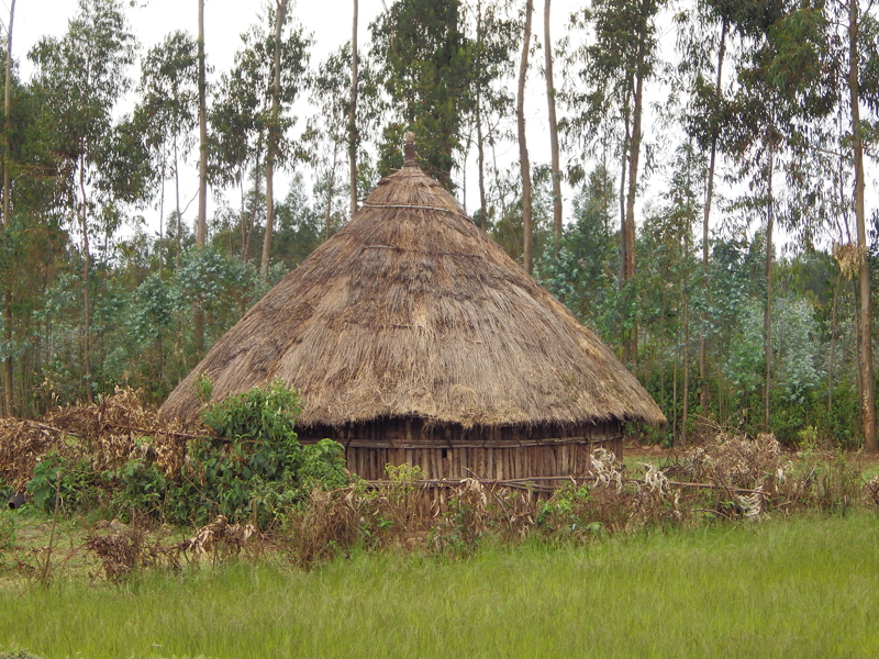 2013-11-18 12-16-06 - IMGP0460