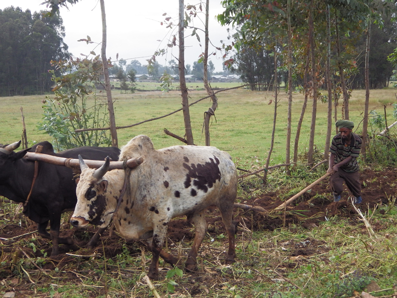 2013-11-18 16-50-58 - IMGP0506