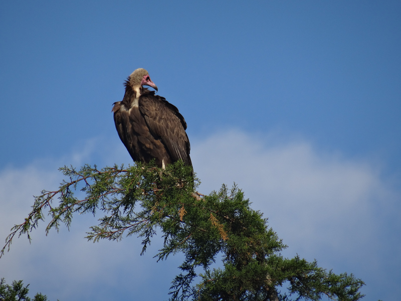 2013-11-19 07-35-01 - DSC00431