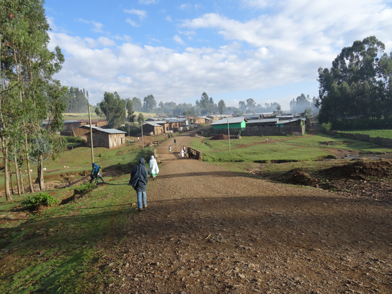 2013-11-19 07-40-40 - DSC00432