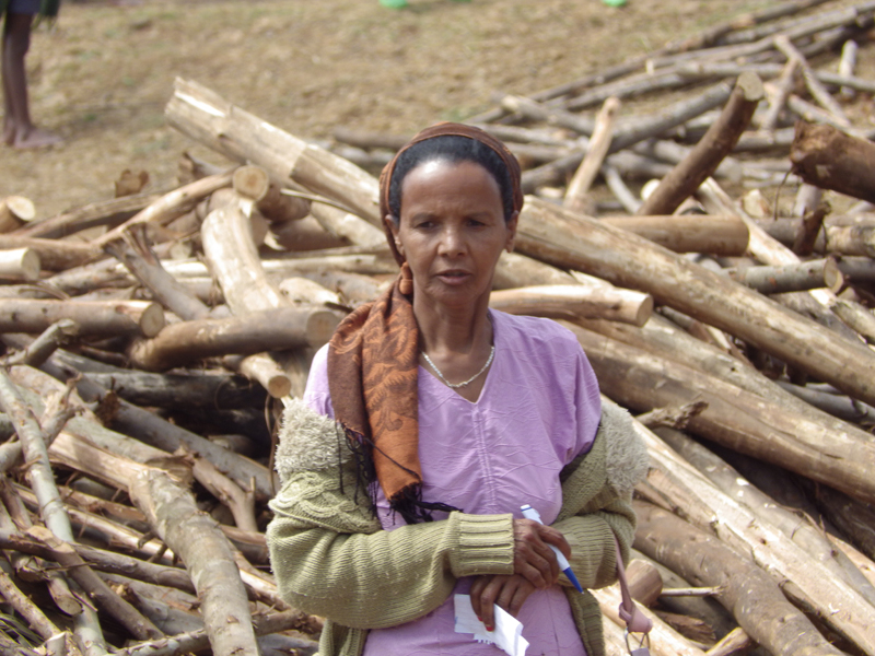 2013-11-19 12-33-06 - IMGP0544