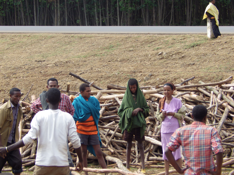 2013-11-19 12-33-59 - IMGP0546