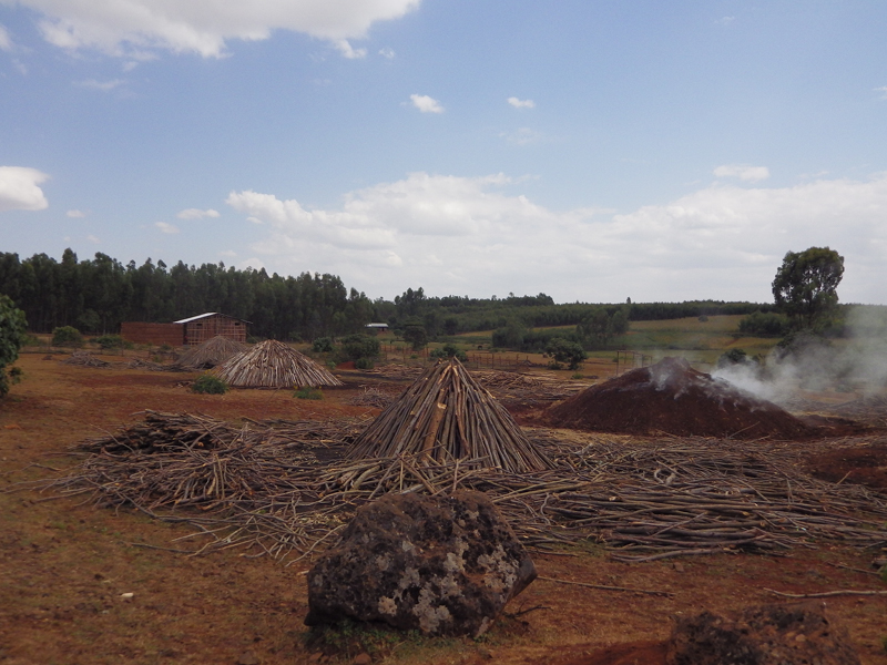 2013-11-19 12-47-16 - IMGP0553