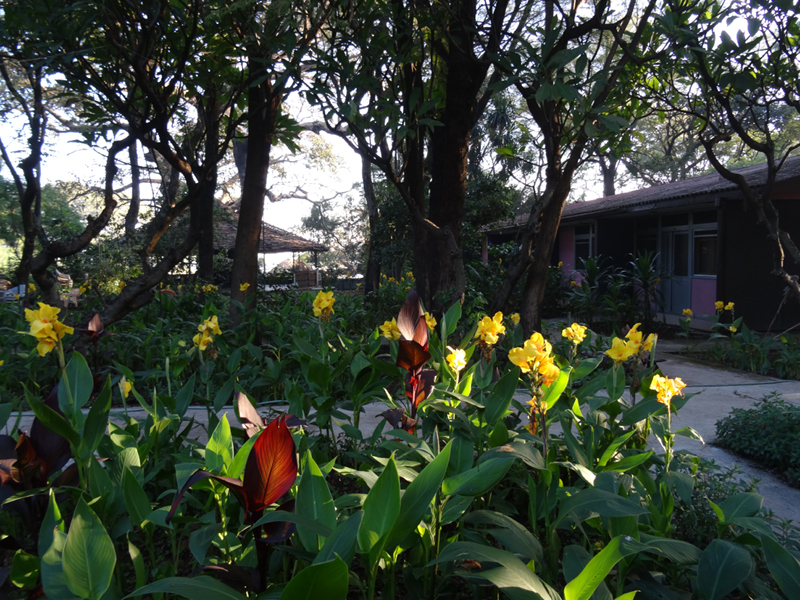 2013-11-20 07-16-09 - DSC00473