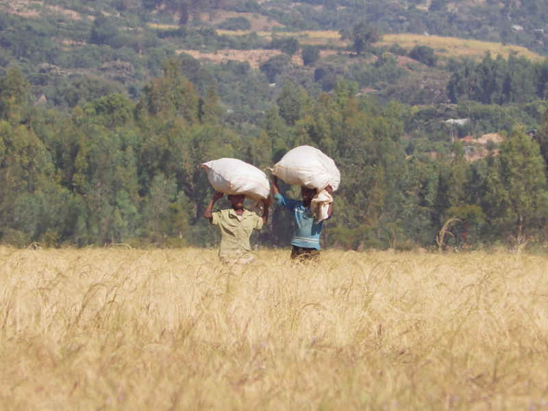 2013-11-20 09-28-00 - IMGP0563