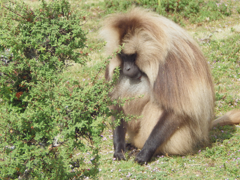 2013-11-21 14-14-45 - IMGP0657