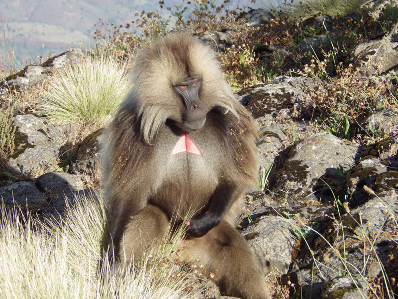 2013-11-22 08-17-41 - IMGP0683