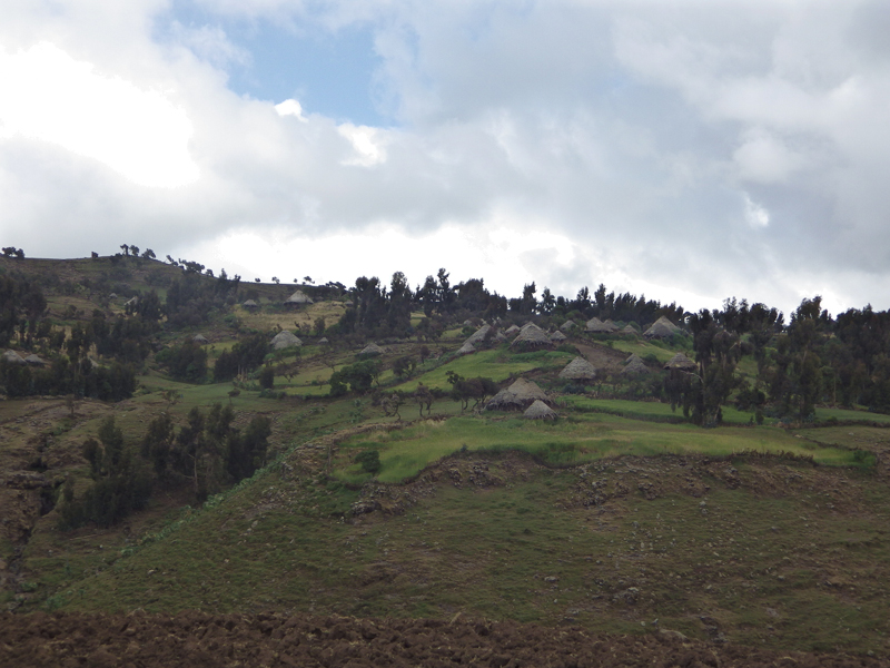 2013-11-22 12-54-20 - IMGP0708