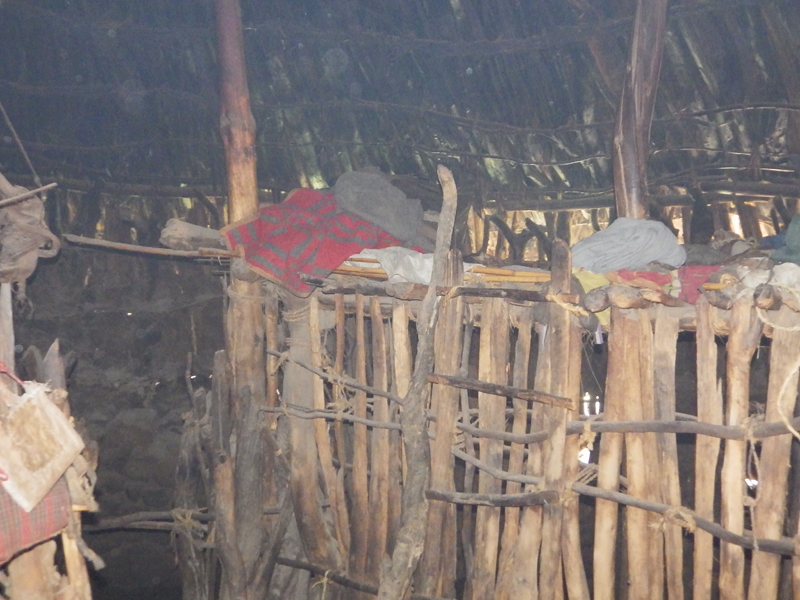 2013-11-22 13-18-30 - IMGP0717