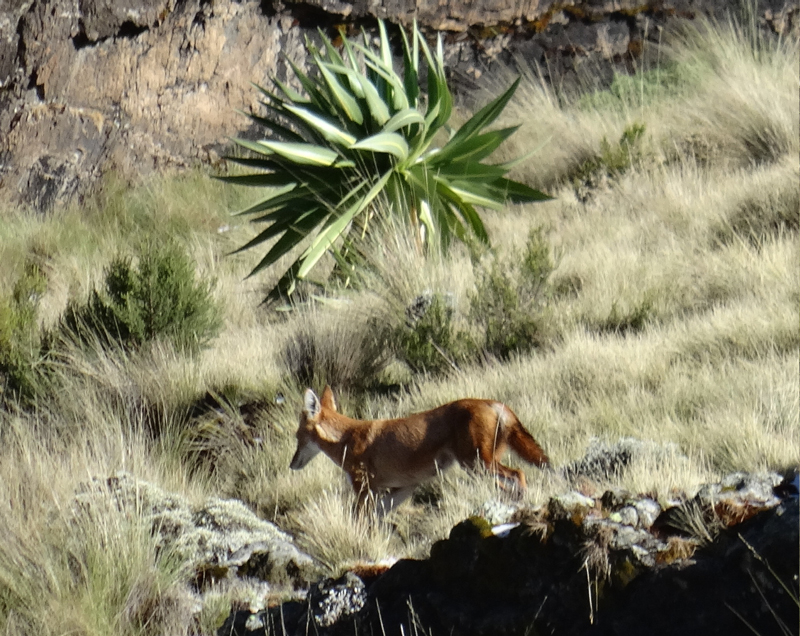 2013-11-24 08-27-47 - DSC00760