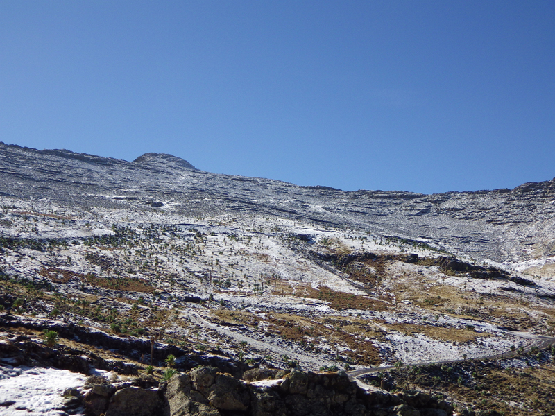 2013-11-24 09-09-03 - IMGP0861