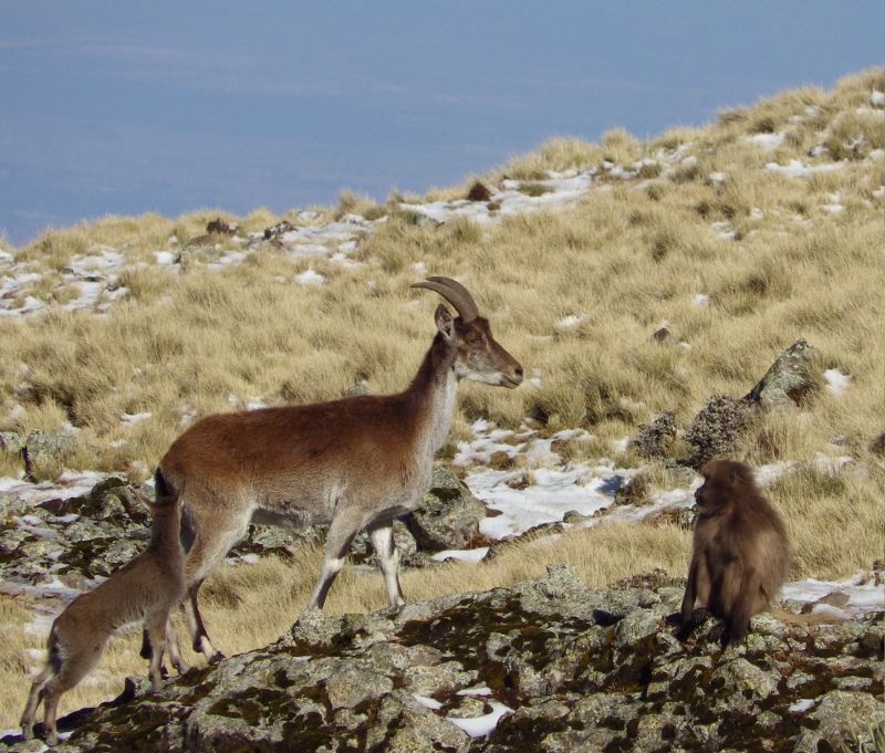 2013-11-24 09-11-07 - IMGP0867