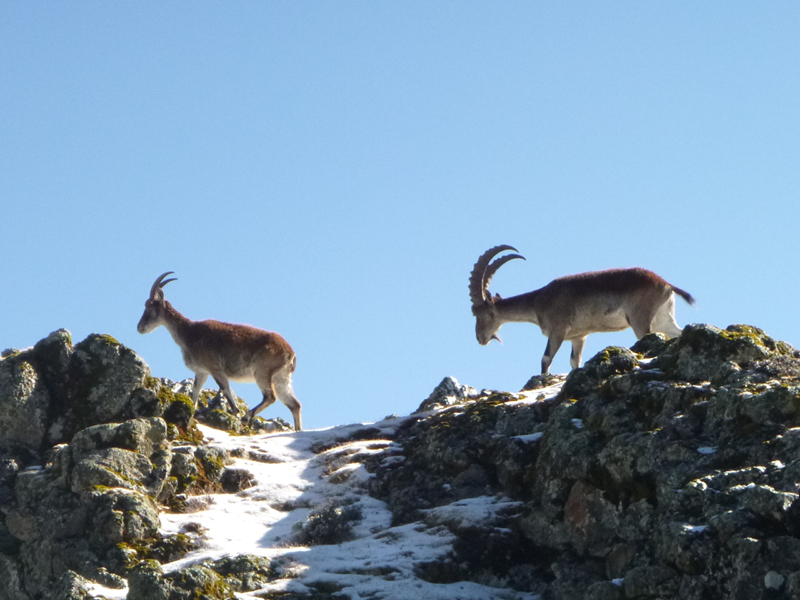 2013-11-24 09-18-02 - 2013-11-24 09-18-02 - P1040973