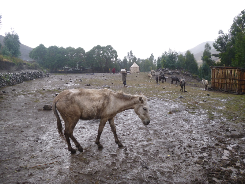 2013-11-24 15-40-28 - 2013-11-24 15-40-28 - P1050031