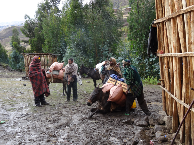 2013-11-24 16-17-23 - DSC00826