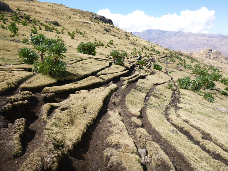 2013-11-25 11-59-15 - P1050055