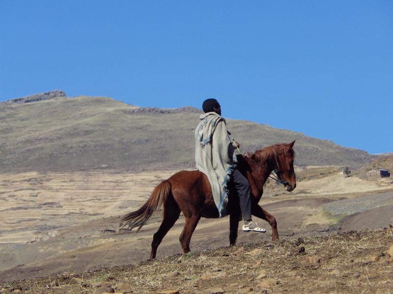 2013-11-26 09-54-24 - IMGP0975