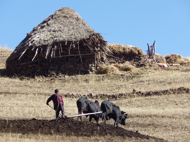 2013-11-26 10-05-38 - IMGP0984