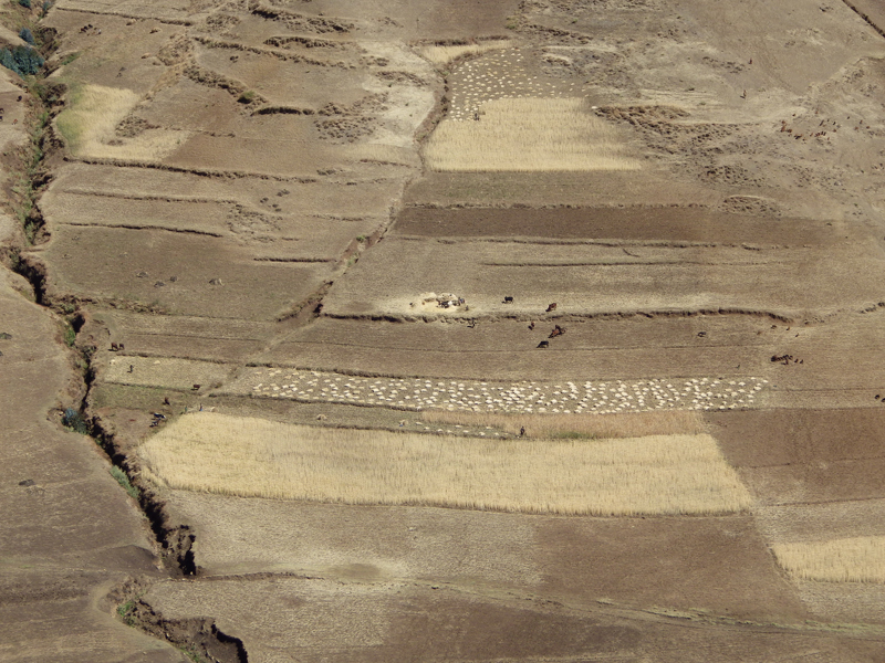 2013-11-26 10-48-58 - IMGP0999