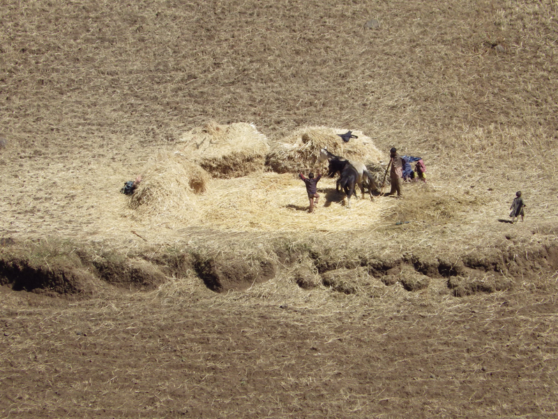 2013-11-26 10-49-08 - IMGP1000