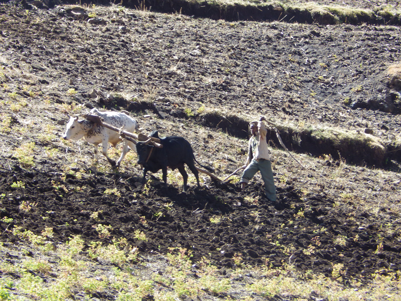 2013-11-26 10-52-52 - IMGP1005