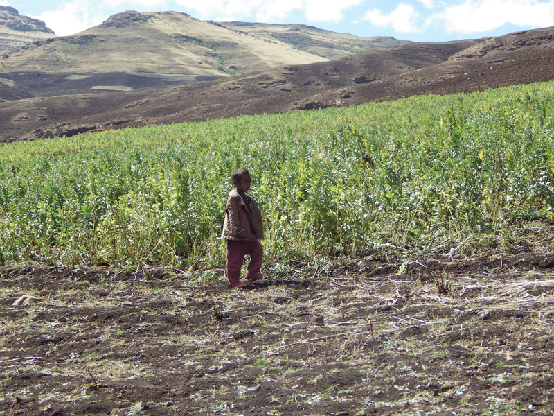 2013-11-26 12-52-39 - IMGP1020