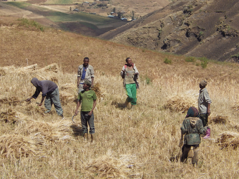 2013-11-26 12-54-14 - IMGP1028