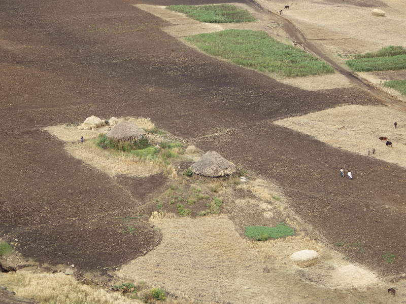 2013-11-26 13-10-27 - IMGP1037