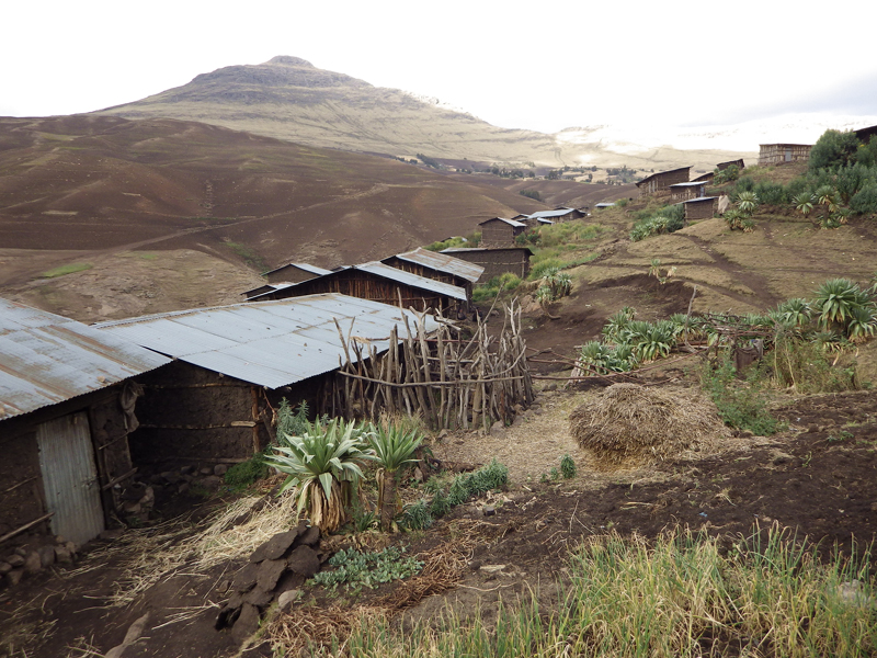 2013-11-26 16-13-08 - IMGP1050